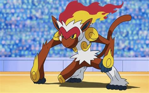 infernape anime.